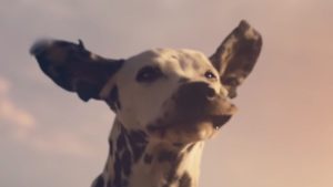 Budweiser Super Bowl Dad